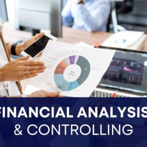 financial analysis and controlling