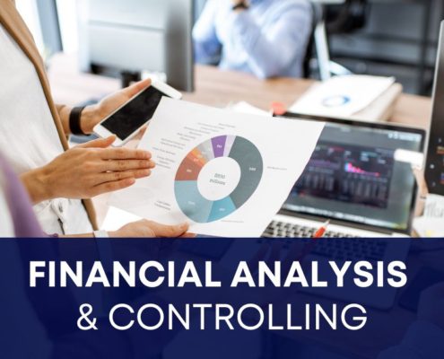 financial analysis and controlling