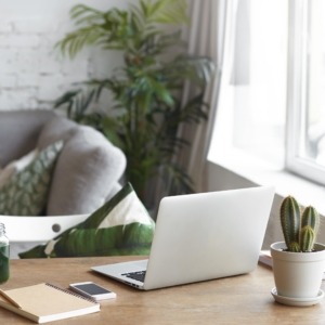 Estonia Company Taxes